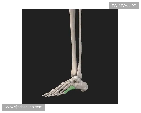 带着缺失第五跖骨的右脚商竣程重新飞奔的坚韧逆袭故事不屈历程路